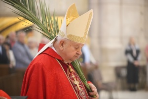 kardynał Stanisław dziwisz